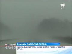 România, măturată de viscol