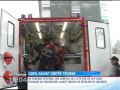 Copil salvat dintre troiene