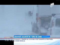 Observator de weekend