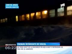 Viscolul a îngheţat traficul feroviar