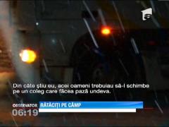 50 de salvatori şi-au petrecut noaptea pe un câmp din Brăila