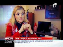 Special! Arhitectura Feng Shui
