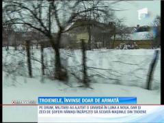Troienele, învinse doar de armată