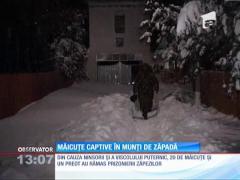 Măicuțe captive în munți de zăpadă