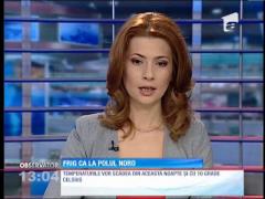 Frig ca la Polul Nord