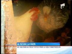 Satele se scutură de troiene. Militarii intervin în continuare în localitățile afectate