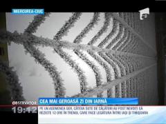 România a înfruntat cea mai scăzută temperatură din această iarnă: -24 grade