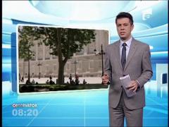 Prado, un mega muzeu cu toți pictorii din lume