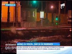 Viscolul şi ninsoarea menţin haosul în Europa