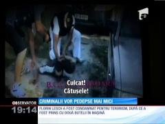 Criminalii României vor pedepse mai mici