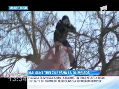 Mai sunt 3 zile până la deschiderea Jocurilor Olimpice de Iarnă