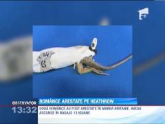 Două românce au fost arestate pe aeroportul Heathrow. Poliţia a fost şocată când s-a uitat în bagaje!
