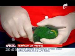 Special! Cum să ne concepem meniul