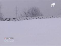 Sute de hectare de sere şi solarii au fost distruse de viscol