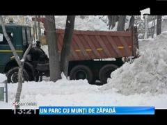 Observator 13 Weekend