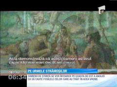 Au fost descoperite urme de paşi facute în urmă cu aproape un milion de ani