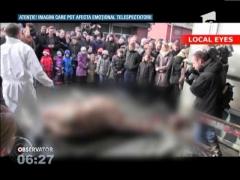 Scandal uriaş din cauza girafei Marius!