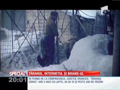 SPECIAL! Ţăranul, internet-ul şi brand-ul!