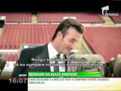 David Beckham şi Prinţul William încearcă acum să salveze rinocerii