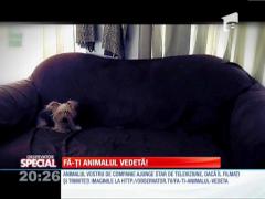 Special! Tăvălirea, pasiunea câinilor