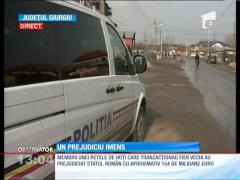 Membrii unei reţele de hoţi au prejudiciat statul român