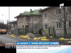 Zeci de saci cu deşeuri biologice, împrăştiaţi pe o stradă din Suceava