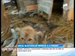 Observator 13 Weekend