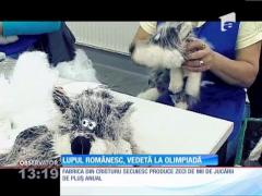 Lupul românesc, vedetă la Olimpiada de iarnă de la Soci