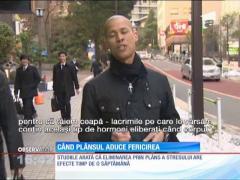 Japonezii iau parte la seminarii unde învaţă să plângă