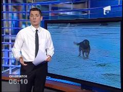 O componentă a lotului naţional de atletism a fost mușcată de un câine