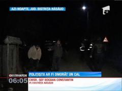 Membri unui echipaj de poliţie din Bistriţa-Năsăud sunt acuzaţi că ar fi provocat moartea unui cal
