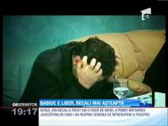 UPDATE! Victor Babiuc a fost eliberat condiţionat