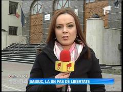 Victor Babiuc va fi eliberat condiţionat