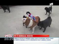 Fa-ti animalul vedeta!