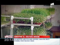 Smoothie-ul, bautura-minune