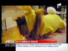 Fa-ti animalul vedeta!