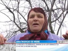 Inundaţiile fac ravagii în sudul României