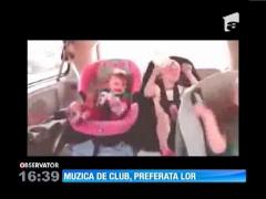 Observator 16 Weekend