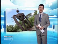 Vacanță în Japonia