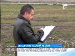Brăila: Cadavrul unei femei, găsit sfâşiat la marginea unei şosele