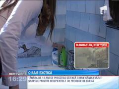 O tânără de 18 ani din Sibiu s-a trezit cu un şarpe în cadă