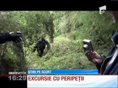 O turistă a fost atacată de o gorilă, în Rwanda!