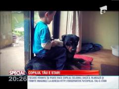 Special! Dilemă de părinte