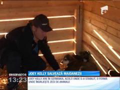 Joey Kelly salvează maidanezii