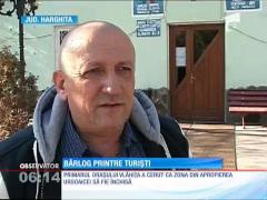 O ursoaică a născut doi pui în apropierea unui hotel din Harghita Băi