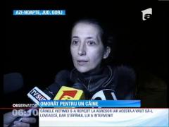 Un bărbat din judeţul Gorj, omorât pentru că şi-a apărat câinele