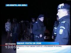 Observator 13 Weekend