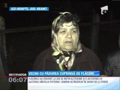 Zece hectare cu vegetaţie uscată şi arbori au ars lângă Bicaz