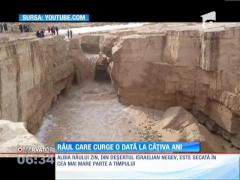 În deşertul din sudul Israelului se află un râu care curge doar o dată la câţiva ani