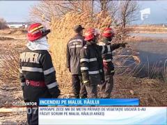 Incendiu de vegetaţie pe malul Argeşului